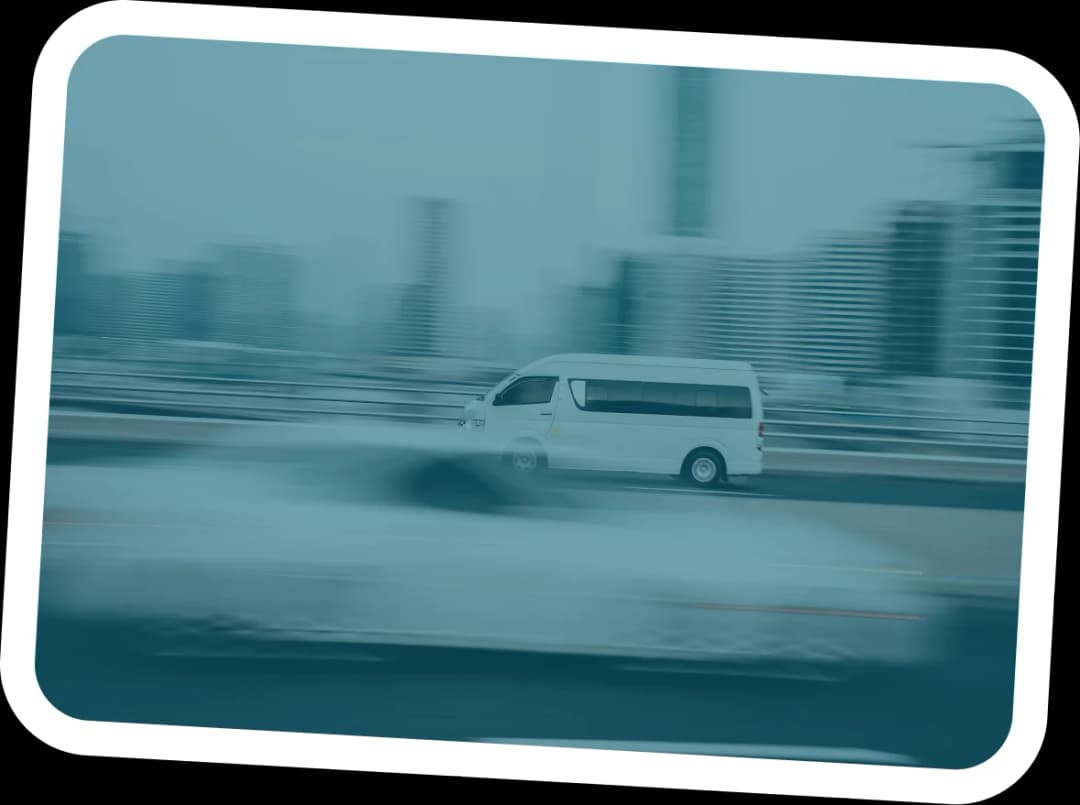 Food Chains Operations